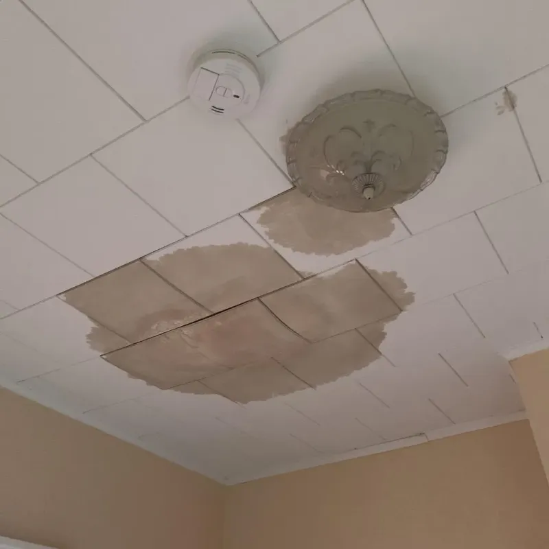 Ceiling Water Damage Repair in Dunellen, NJ
